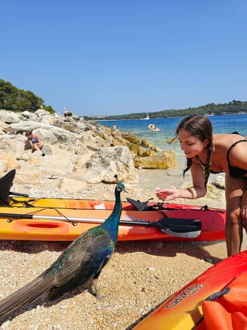 Pula: Kayak Tour to Island St. Jerolim and Kozada - The Star of the Tour: St. Jerolim Island