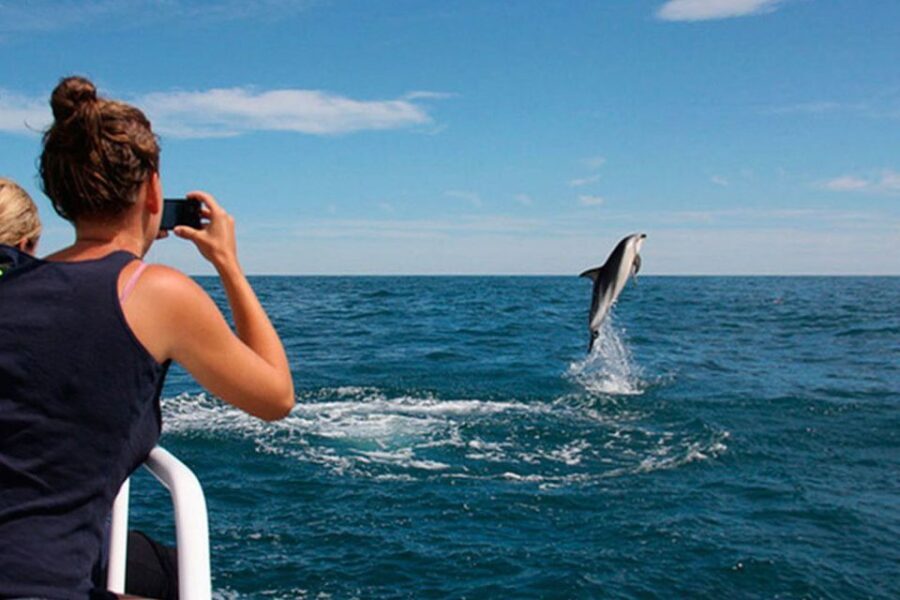 Pula: National Park Brijuni Dolphin Cruise with Dinner