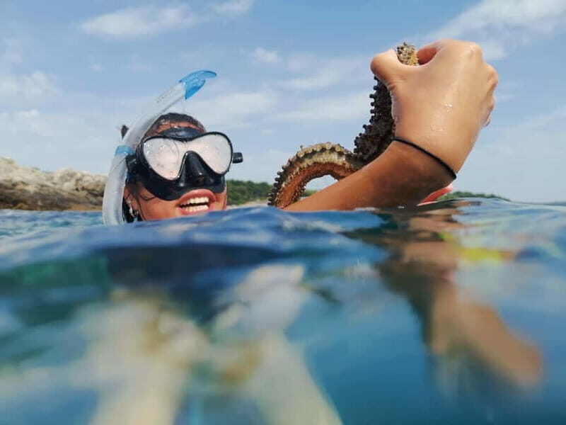 Pula: Sea Adventure  Boat, Kayak, Snorkeling & Cliff Jumps
