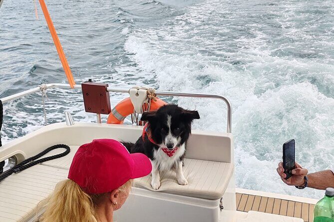 Pula Sunset Dolphin Cruise A Private Experience - The Experience: What Travelers Say