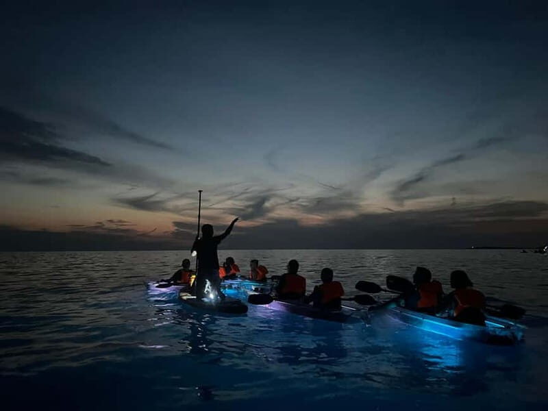 Pula: Sunset/Night Illuminated Transparent Kayak Tour - What’s Included and What’s Not
