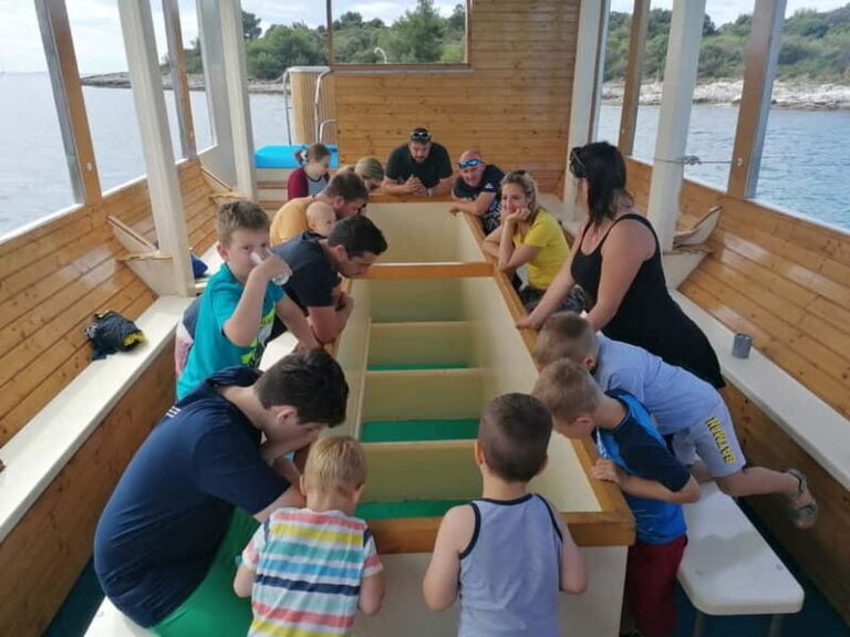 Pula Verudela: Glass-Bottom Boat and Swim with Fish Tour - How the Tour Unfolds