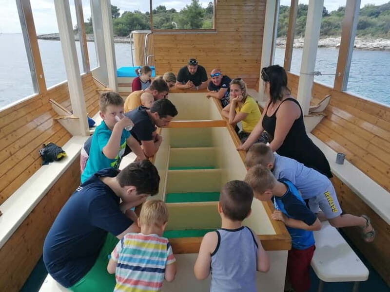 Pula Verudela: Glass-Bottom Boat and Swim with Fish Tour
