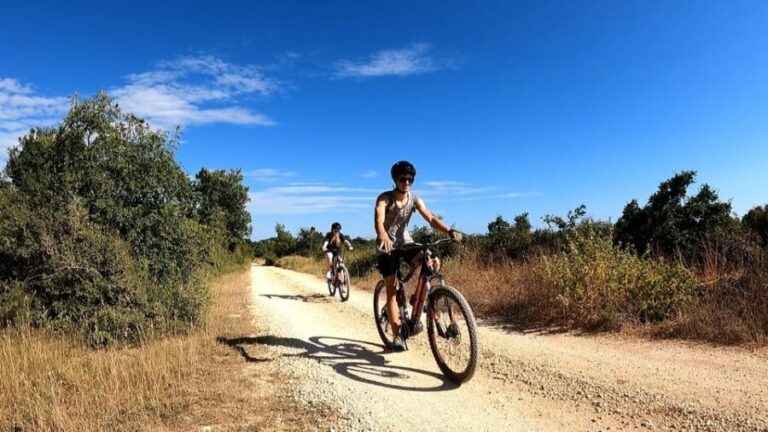 Pula-Vodnjan-Rovinj: E-Bike Tour with wine tasting - How the Experience Is Structured