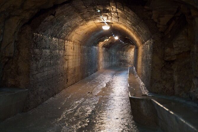 Pula's Timeless Wonders & Olive Oil Tasting at Oio Vivo - How This Tour Fits Into Your Croatia Adventure