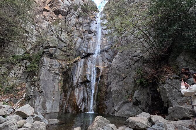 Pyrenees Hiking Experience from Barcelona. Small Group Tour - Analyzing the Value