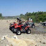 Quad Bikes for Guided Tours. - FAQ