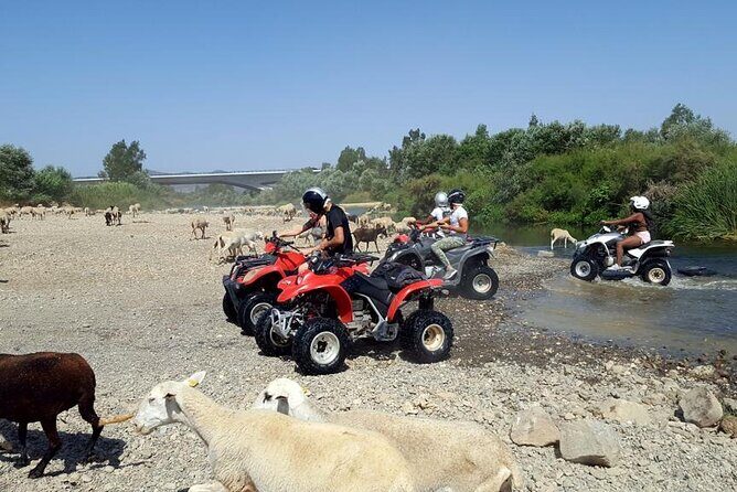 Quad Bikes for Guided Tours. - FAQ
