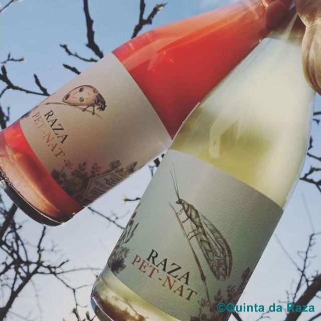 Quinta da Raza Natural Wines - A Closer Look at the Quinta da Raza Natural Wines Experience