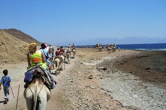Ras Abu Galum & Blue Hole Snorkeling Tour from Taba - An In-Depth Look at the Itinerary