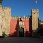 Real Alcázar of Seville Tiny Group Tour - Who Will Love This Tour?