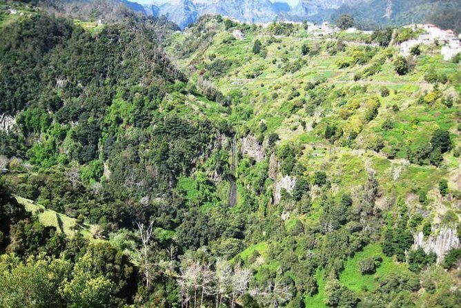 Referta Castelejo Levada Walk from Funchal - A Closer Look at the Referta Castelejo Levada Walk