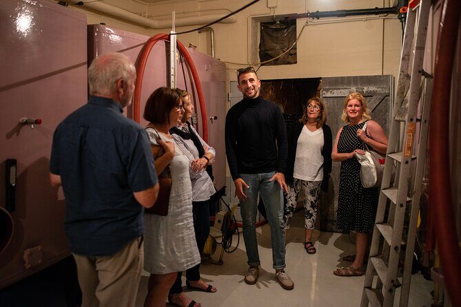 Reims afternoon tour Champagne and family growers - Authenticity and Value in the Experience