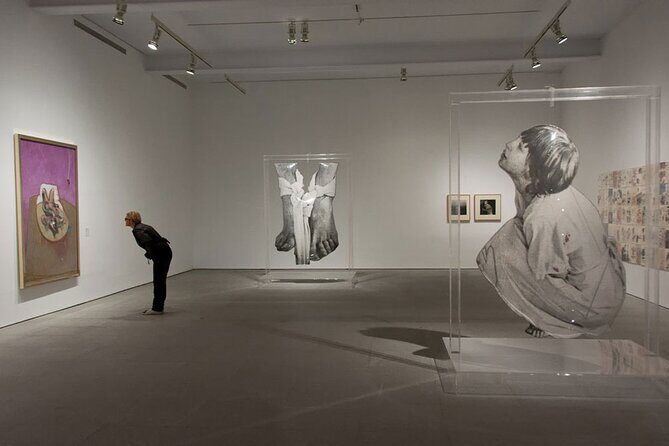 Reina Sofia Museum Admission Ticket - Who Will Appreciate This Tour?