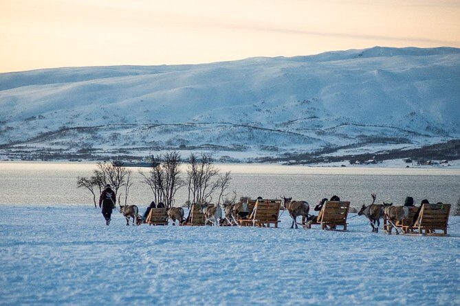 Reindeer Sledding Experience and Sami Culture Tour from Tromso - Who Should Consider This Tour?