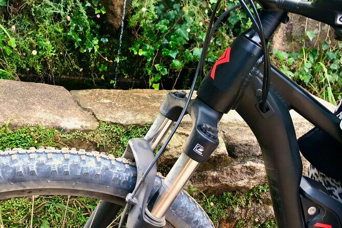 Relaxed E-bike in the backroads of Cascais and Sintra - Who Would Love This Tour?
