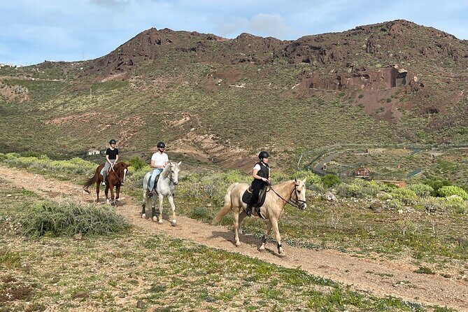 Relaxing Horse Riding Tour in Gran Canaria - Who Will Love This Tour?