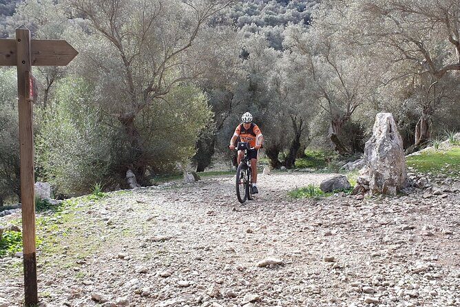 Rental mtb hardtail sram conor wrc 29 - A Detailed Look at Mallorca’s MTB Rental Experience