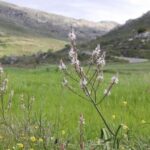 Rethymno: Private SUV Tour South Cretes Villages & Nature - The Practical Side: What’s Included and What to Bring