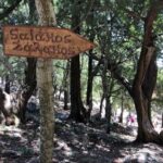 Rhodes: Salakos to Profitis Ilias 4 hours Guided Hike - Final Verdict: Who Will Love This Hike?