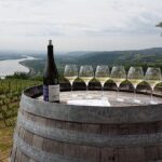 Rhône Valley Wine Tasting Private Day Tour from Lyon - Frequently Asked Questions