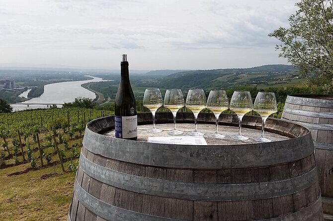 Rhône Valley Wine Tasting Private Day Tour from Lyon - Frequently Asked Questions