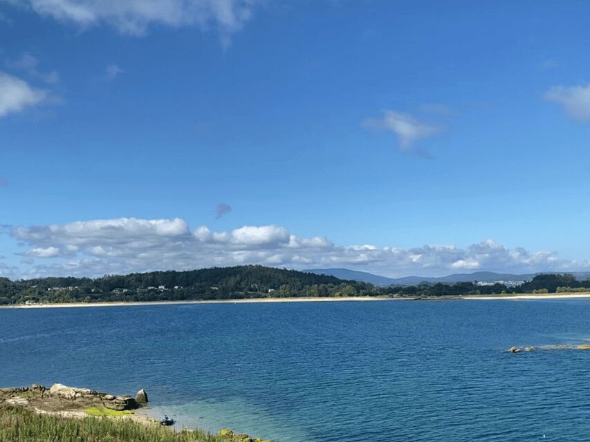 Ría de Arousa: Daytime or Sunset Sailboat Cruise with drinks - Who Will Love This Tour?