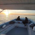 Ria Formosa Bout Tour with sunset - Olhão - Practical Details and What to Expect