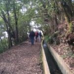 Ribeiro Frio - Portela - What Makes This Tour Special