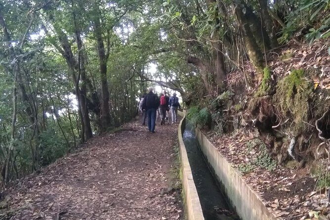 Ribeiro Frio - Portela - What Makes This Tour Special