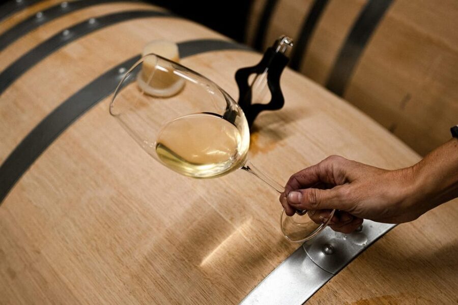 Ribera del Duero: Experience, vineyard and 4x4 mountain, aperitif and tasting. - Final Thoughts