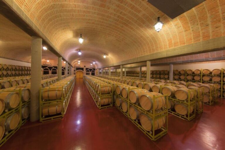 Ribera del Duero: Red Wine Discovery Tour with Tastings - Who Will Love This Tour?