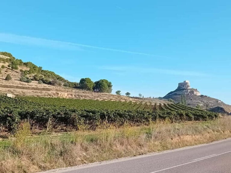 Ribera del Duero Tour: 2 Wineries with Transport from Madrid - An In-Depth Look at This Ribera del Duero Experience