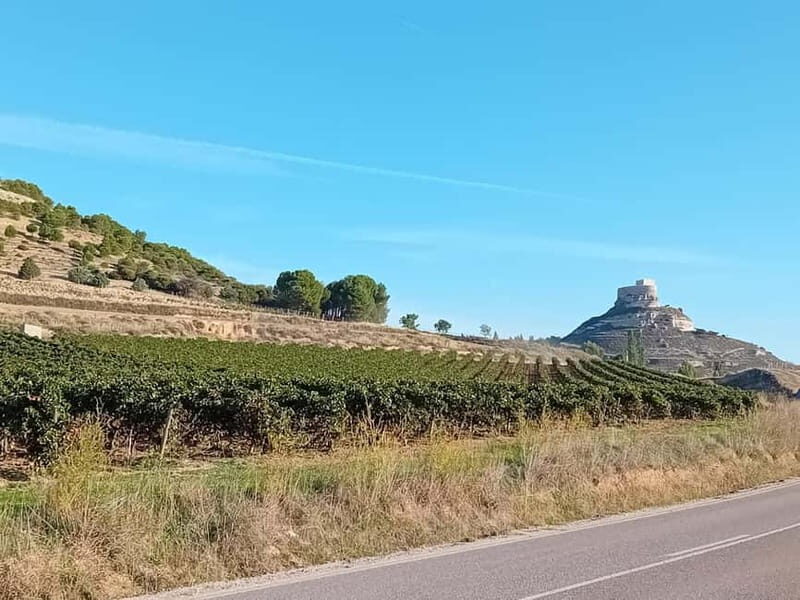 Ribera del Duero Tour: 2 Wineries with Transport from Madrid - An In-Depth Look at This Ribera del Duero Experience