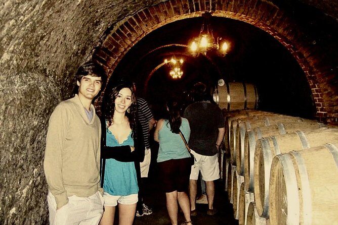 Ribera del Duero Winery Guided Tour and Wine Tasting from Madrid - Who Should Consider This Tour?