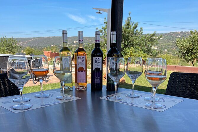 Ride & Wine: Scenic Quinta Da Tor Winery Electric Motorbike Tour - The Itinerary, Step-by-Step