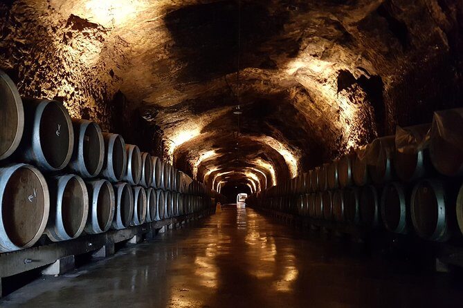 Rioja Full Experience Tour from San Sebastian with Lunch - Exploring La Rioja on Your Day Trip from San Sebastian