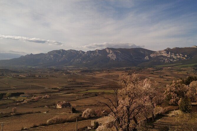 Rioja Wine Country Day Trip - Final Thoughts