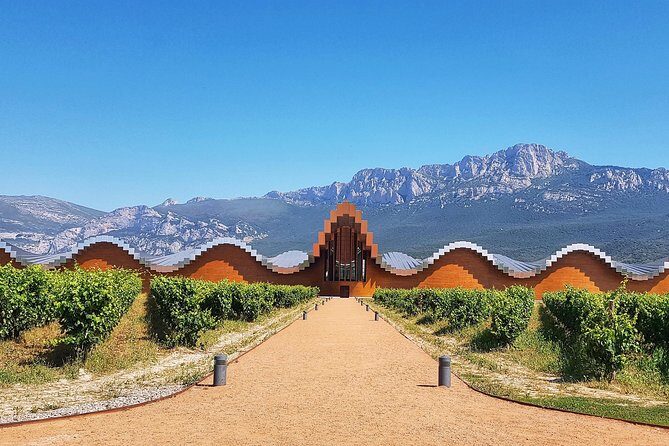 Rioja Wine Route with winery owner - Authenticity, Value, and Who Will Love This Tour