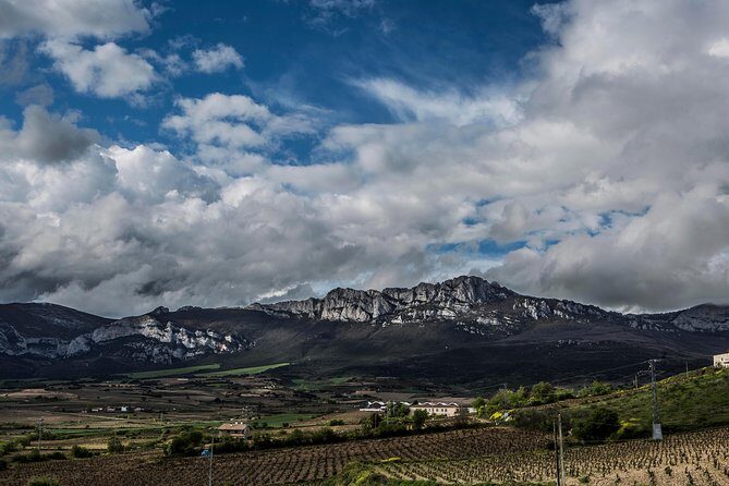 Rioja Wine Tour: 2 Wineries From Pamplona - Who Will Love This Tour?