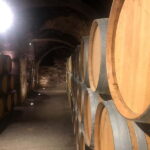Rioja Wine Tour: 3 Wineries & Pintxos Lunch - The Itinerary: A Day Well Spent in Rioja
