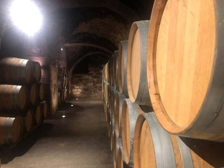 Rioja Wine Tour: 3 Wineries & Pintxos Lunch - The Itinerary: A Day Well Spent in Rioja