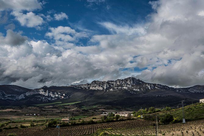 Rioja Wine Tour: Winery, Tasting & Lunch from San Sebastian - A Hearty Traditional Lunch