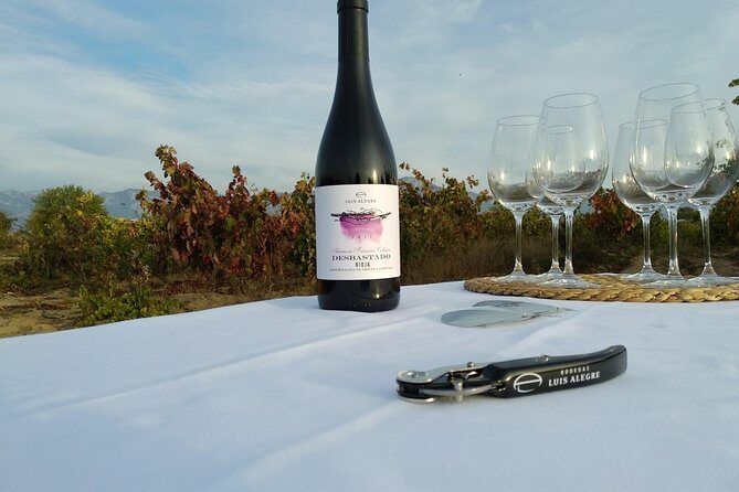 Rioja Wine Tour: Winery & Traditional Lunch From Bilbao - A Closer Look at the Rioja Wine Experience