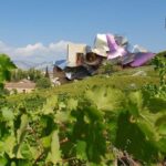 Rioja Wine Tour: Winery & Traditional Lunch From Pamplona - The Sum Up
