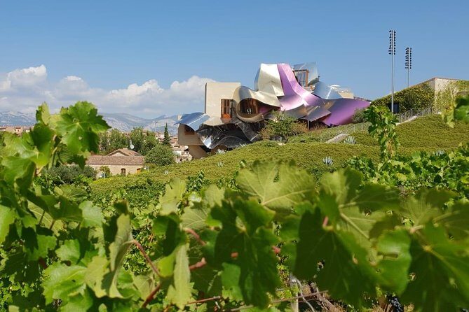 Rioja Wine Tour: Winery & Traditional Lunch From Pamplona - The Sum Up
