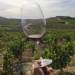 Rioja Wine Tour: Winery & Traditional Lunch From Vitoria - In-Depth Look at the Rioja Wine Tour Experience