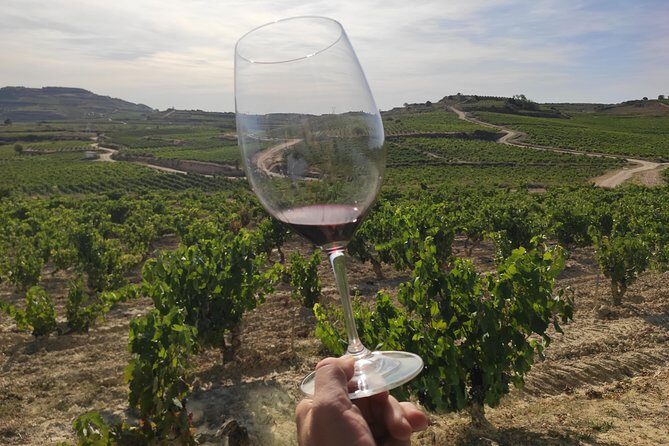 Rioja Wine Tour: Winery & Traditional Lunch From Vitoria - In-Depth Look at the Rioja Wine Tour Experience