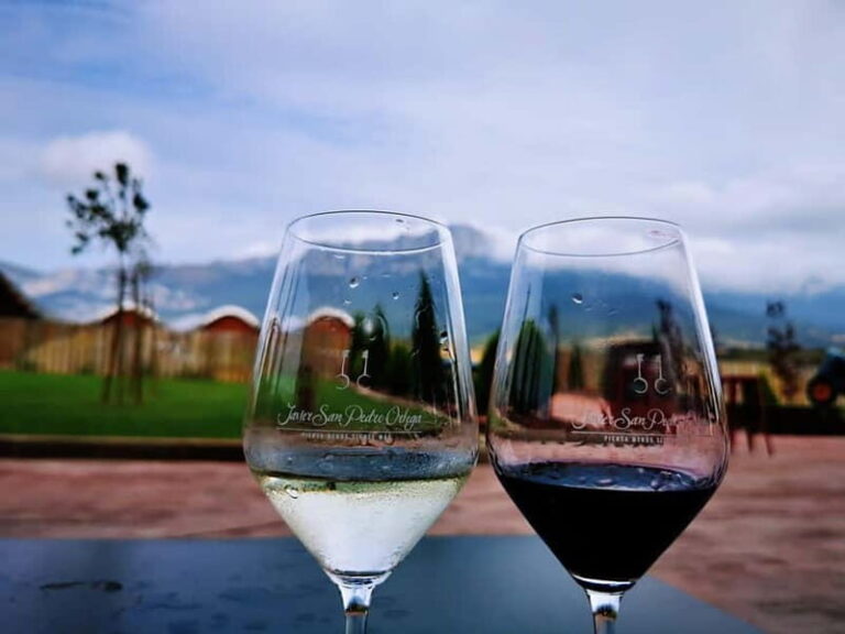 Rioja: Wine Tour with a Local Expert with Tastings - Practical Details and Value