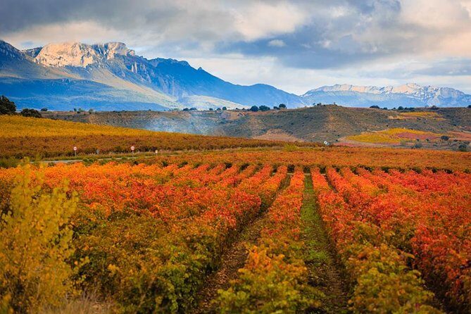 Rioja Wine Tour - Who Would Love This Tour?